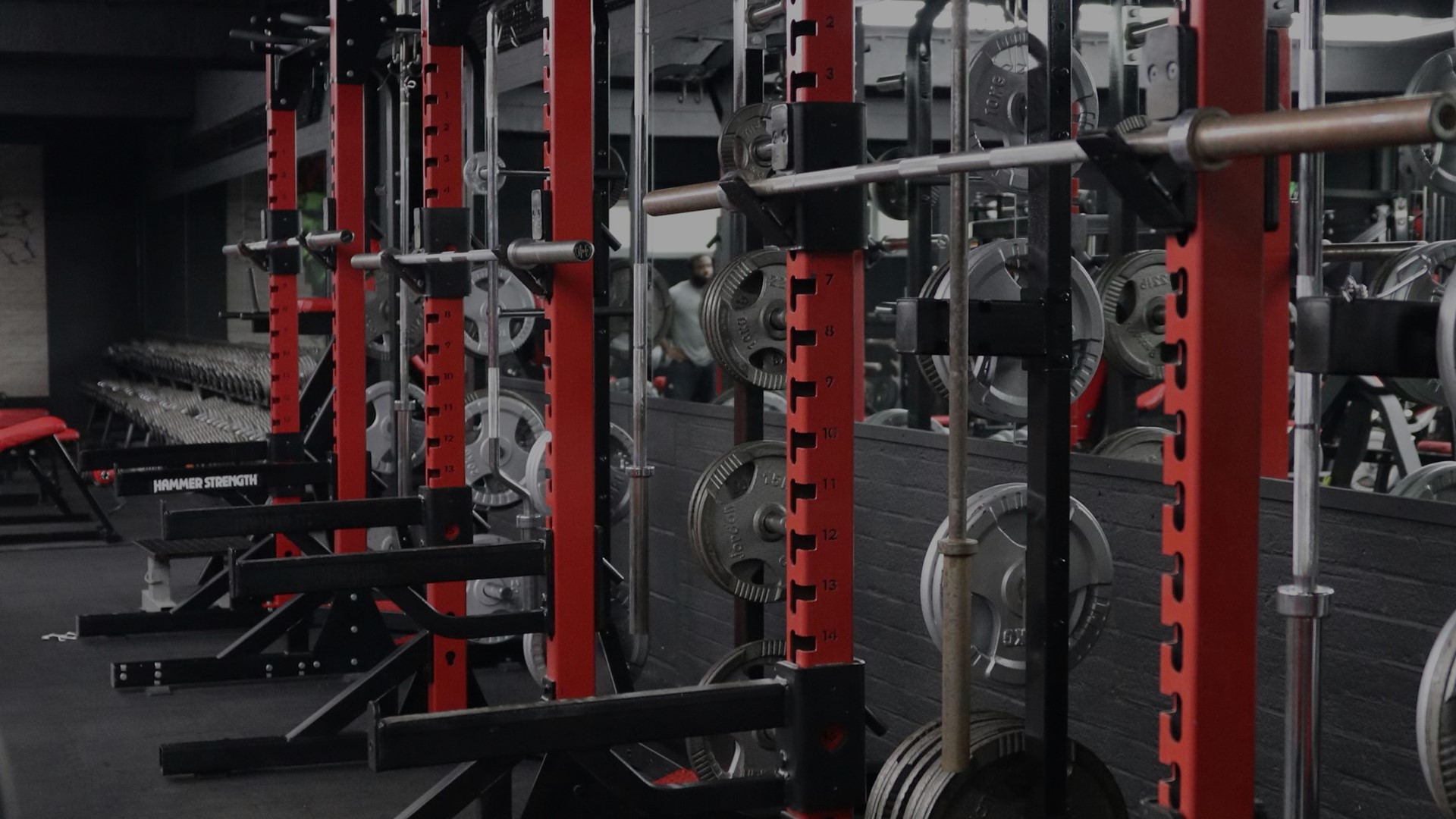 Gym Gallery 3